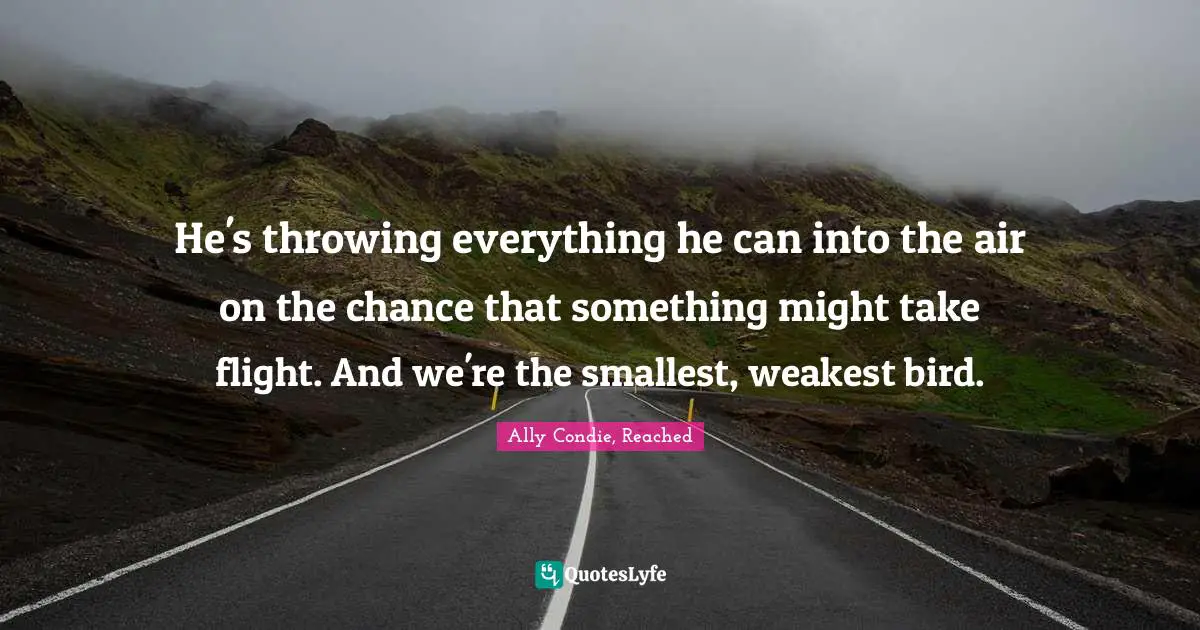 He's throwing everything he can into the air on the chance that something might take flight. And we're the smallest, weakest bird.