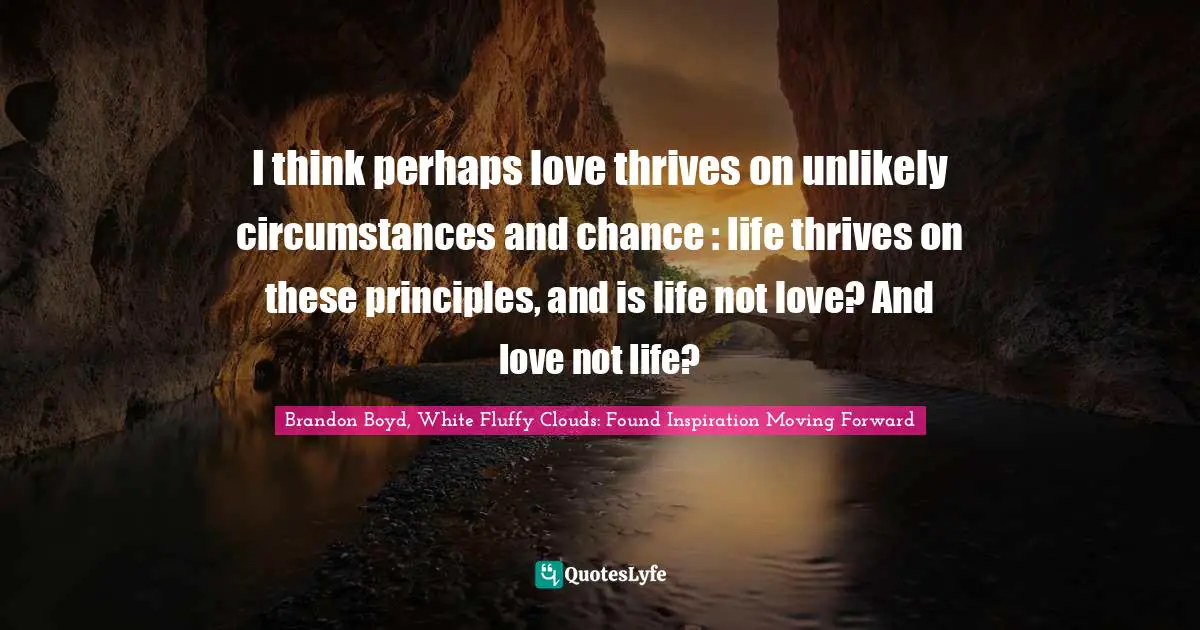 I think perhaps love thrives on unlikely circumstances and chance : life thrives on these principles, and is life not love? And love not life?