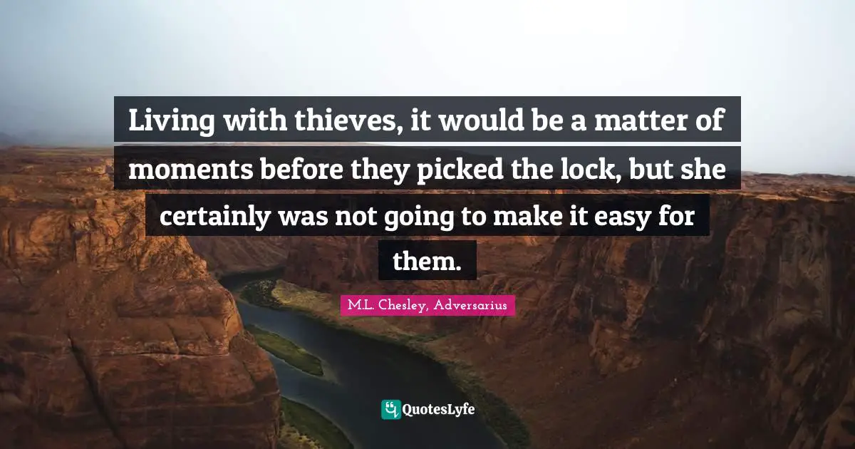 Living with thieves, it would be a matter of moments before they picked the lock, but she certainly was not going to make it easy for them.