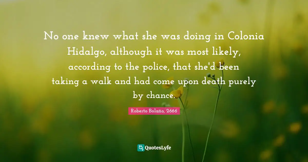 No one knew what she was doing in Colonia Hidalgo, although it was most likely, according to the police, that she'd been taking a walk and had come upon death purely by chance.