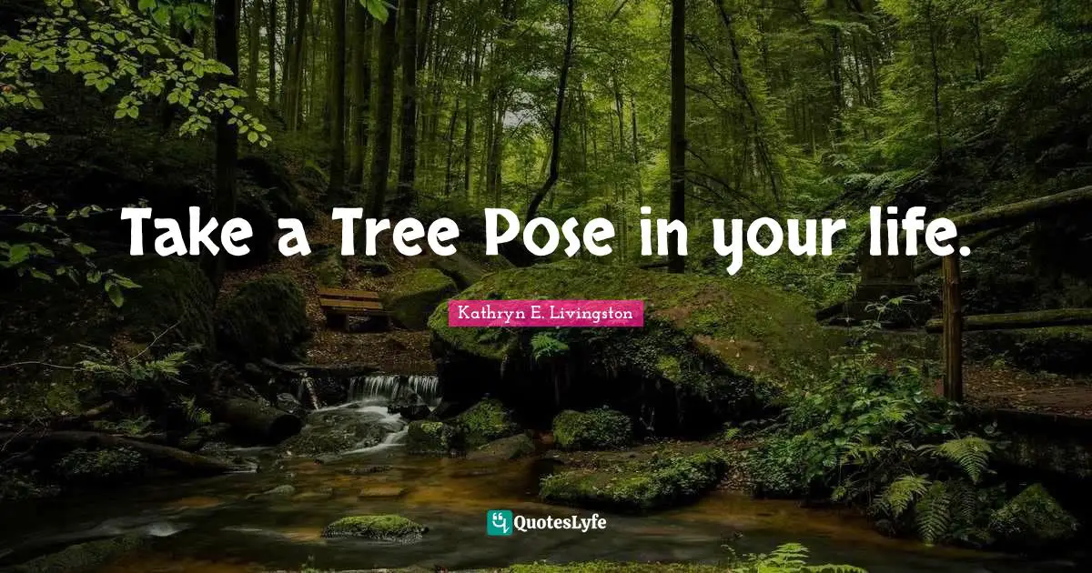 Take a Tree Pose in your life.