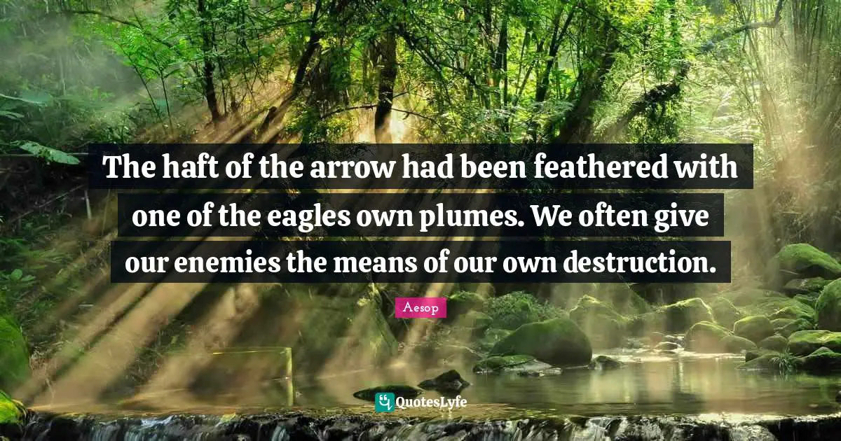 The haft of the arrow had been feathered with one of the eagles own plumes. We often give our enemies the means of our own destruction.