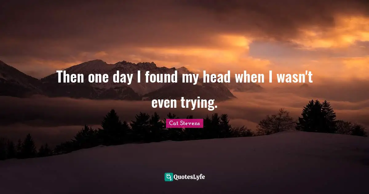 Then one day I found my head when I wasn't even trying.