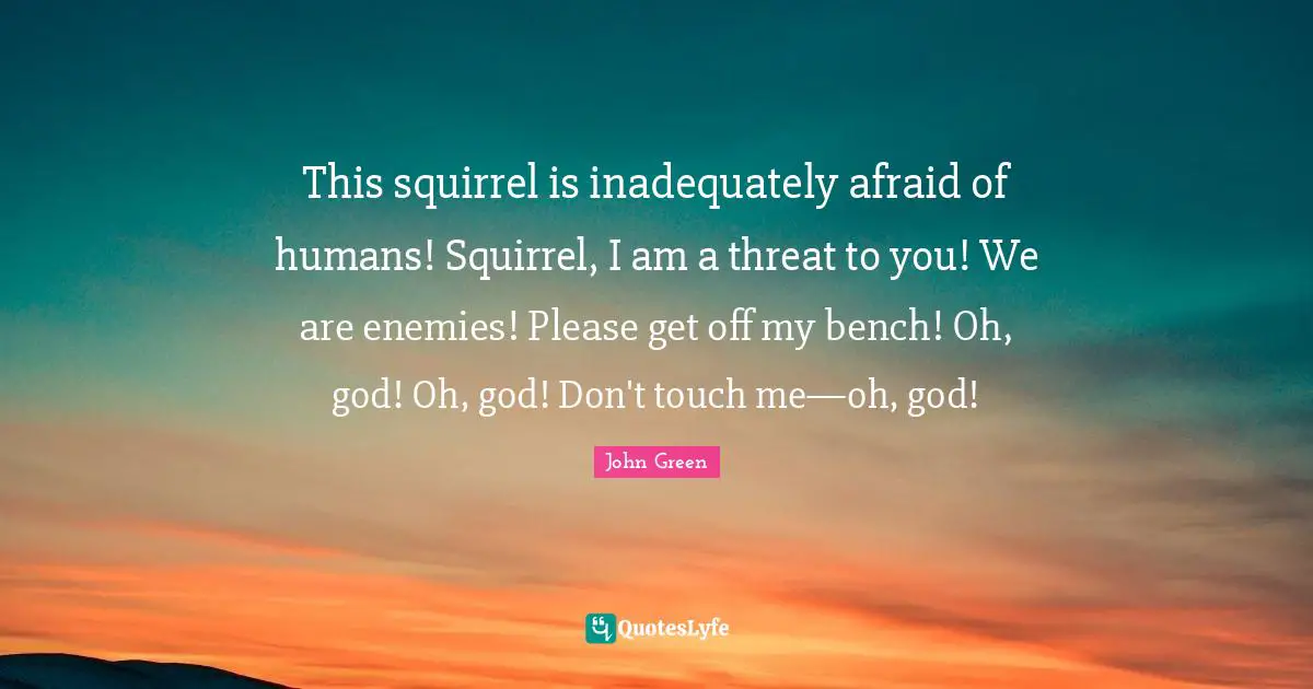 This squirrel is inadequately afraid of humans! Squirrel, I am a threat to you! We are enemies! Please get off my bench! Oh, god! Oh, god! Don't touch me—oh, god!