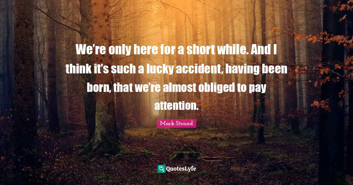 We’re only here for a short while. And I think it’s such a lucky accident, having been born, that we’re almost obliged to pay attention.