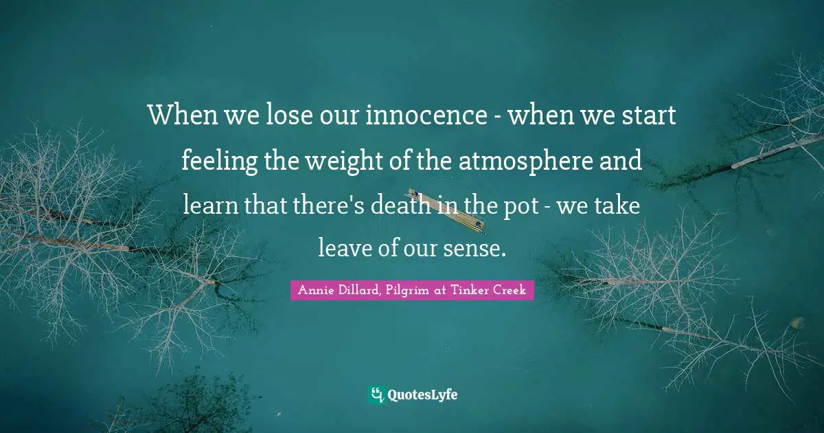 When we lose our innocence - when we start feeling the weight of the atmosphere and learn that there's death in the pot - we take leave of our sense.