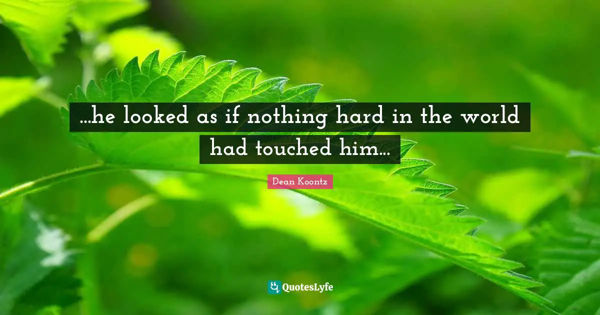 ...he looked as if nothing hard in the world had touched him...