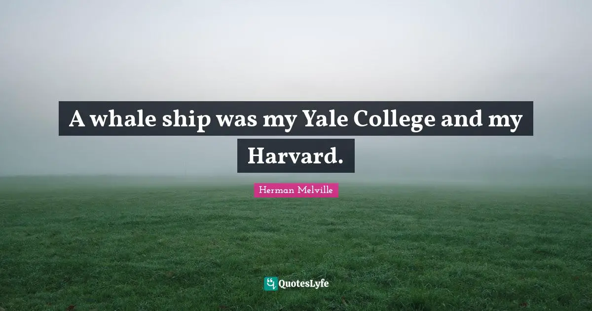 Herman Melville Quotes: "A whale ship was my Yale College and my Harvard."
