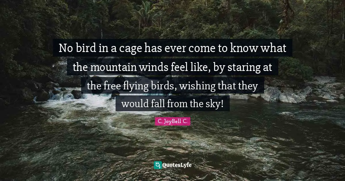 No bird in a cage has ever come to know what the mountain winds feel like, by staring at the free flying birds, wishing that they would fall from the sky!