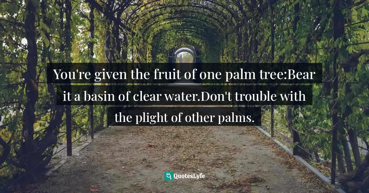 Self Care Quotes: "You're given the fruit of one palm tree:Bear it a basin of clear water.Don't trouble with the plight of other palms."