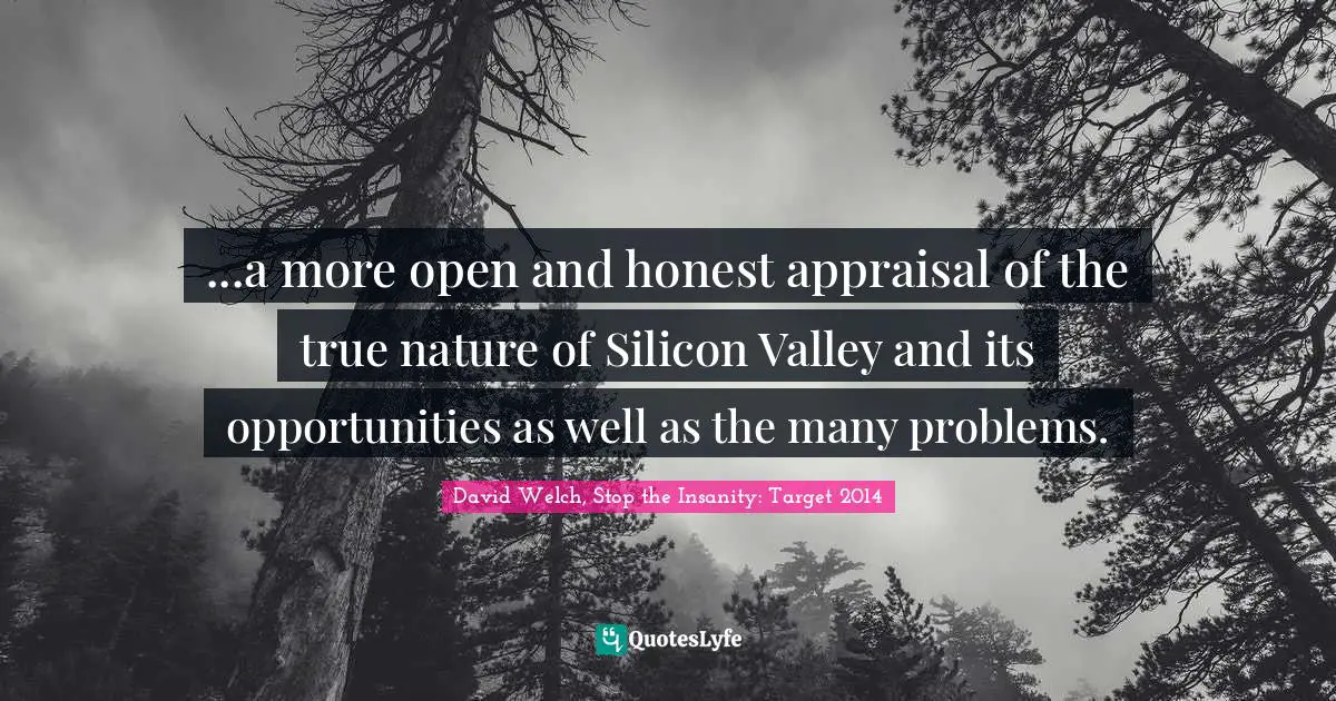 ...a more open and honest appraisal of the true nature of Silicon Valley and its opportunities as well as the many problems.