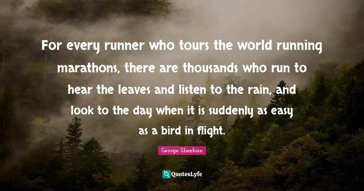 For every runner who tours the world running marathons, there are thousands who run to hear the leaves and listen to the rain, and look to the day when it is suddenly as easy as a bird in flight.