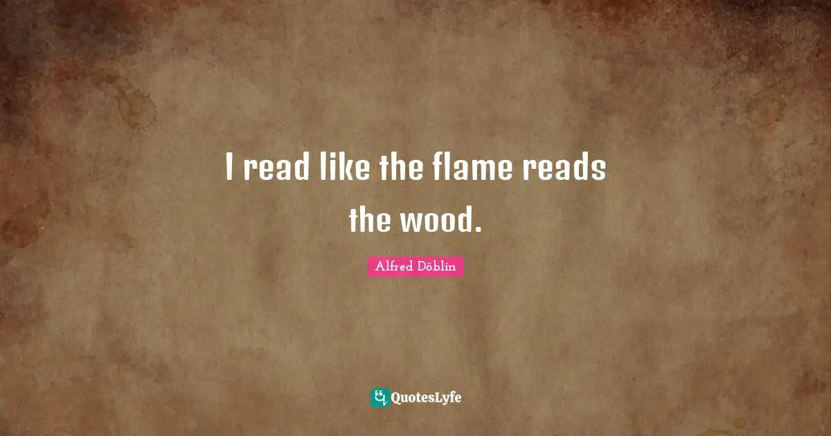 I read like the flame reads the wood.
