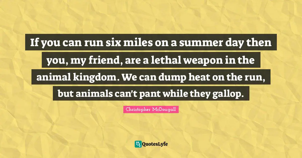 Born To Run Quotes: "If you can run six miles on a summer day then you, my friend, are a lethal weapon in the animal kingdom. We can dump heat on the run, but animals can't pant while they gallop."