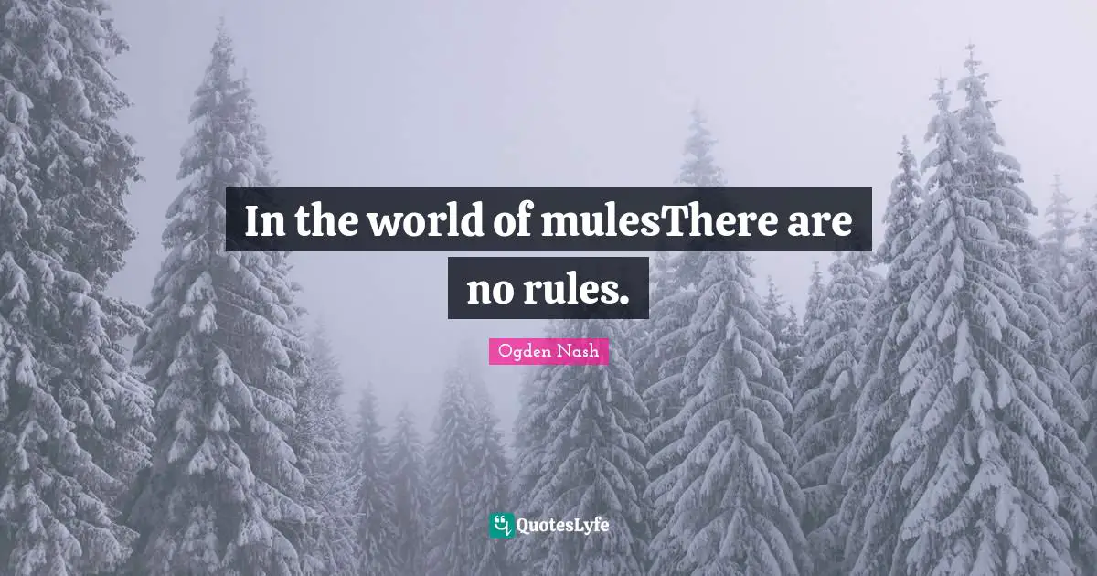 In the world of mulesThere are no rules.