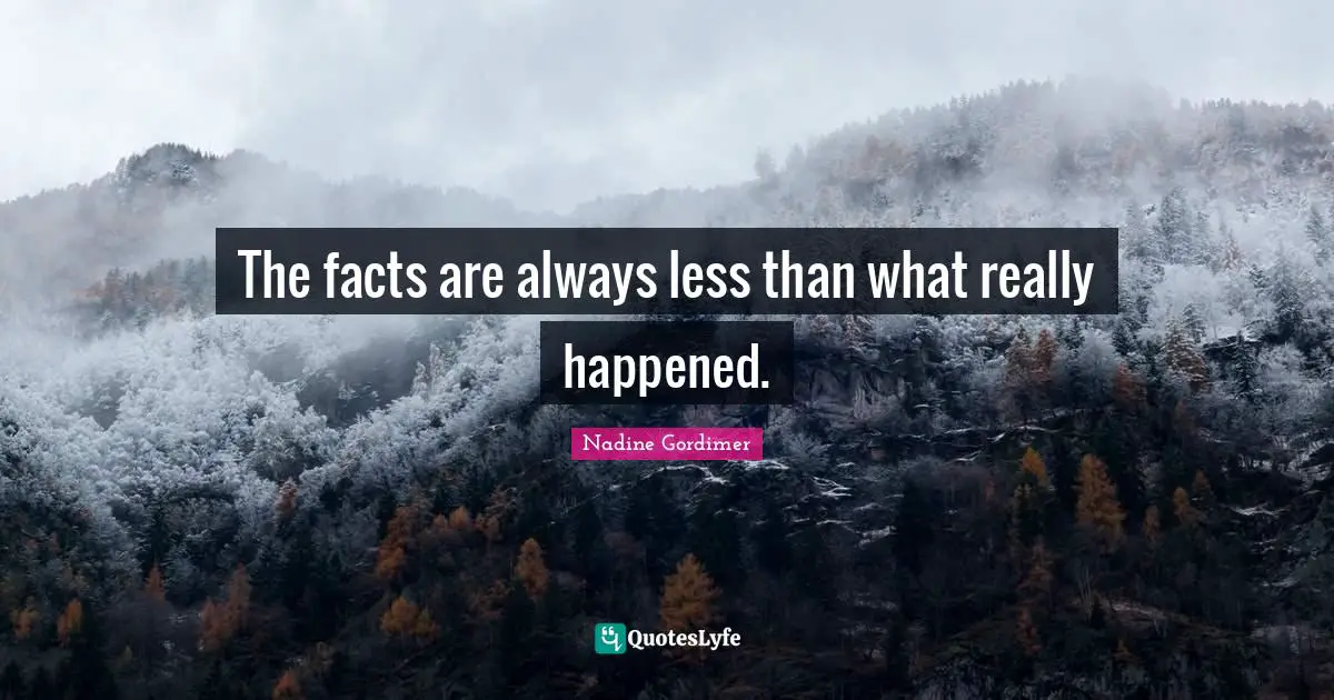 The facts are always less than what really happened.