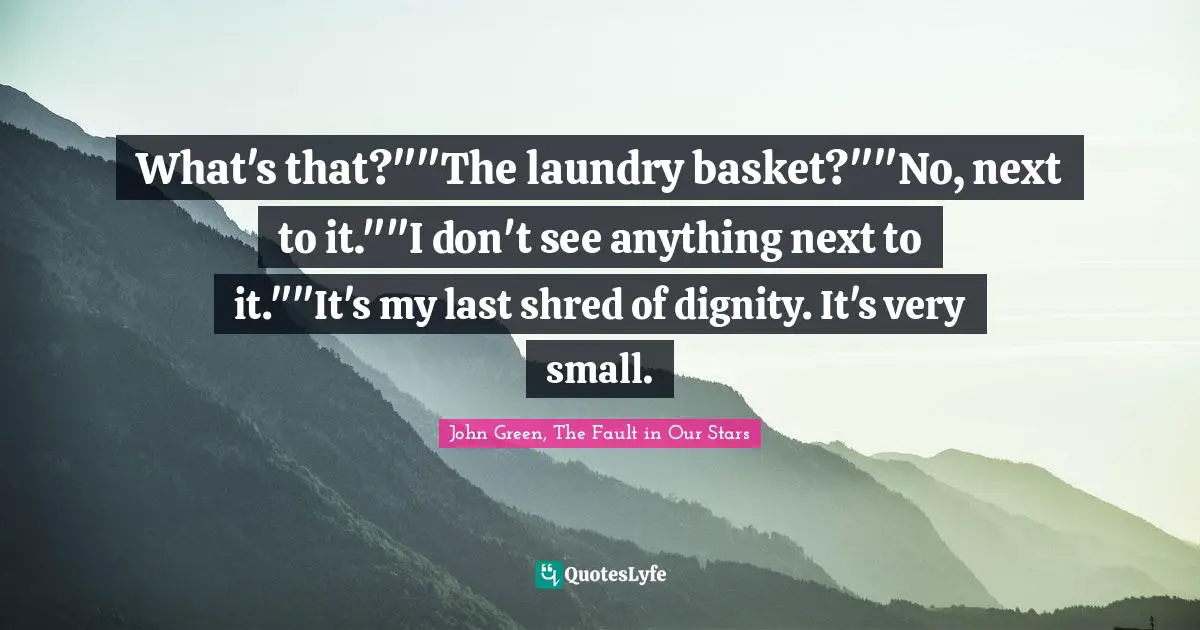What's that?""The laundry basket?""No, next to it.""I don't see anything next to it.""It's my last shred of dignity. It's very small.