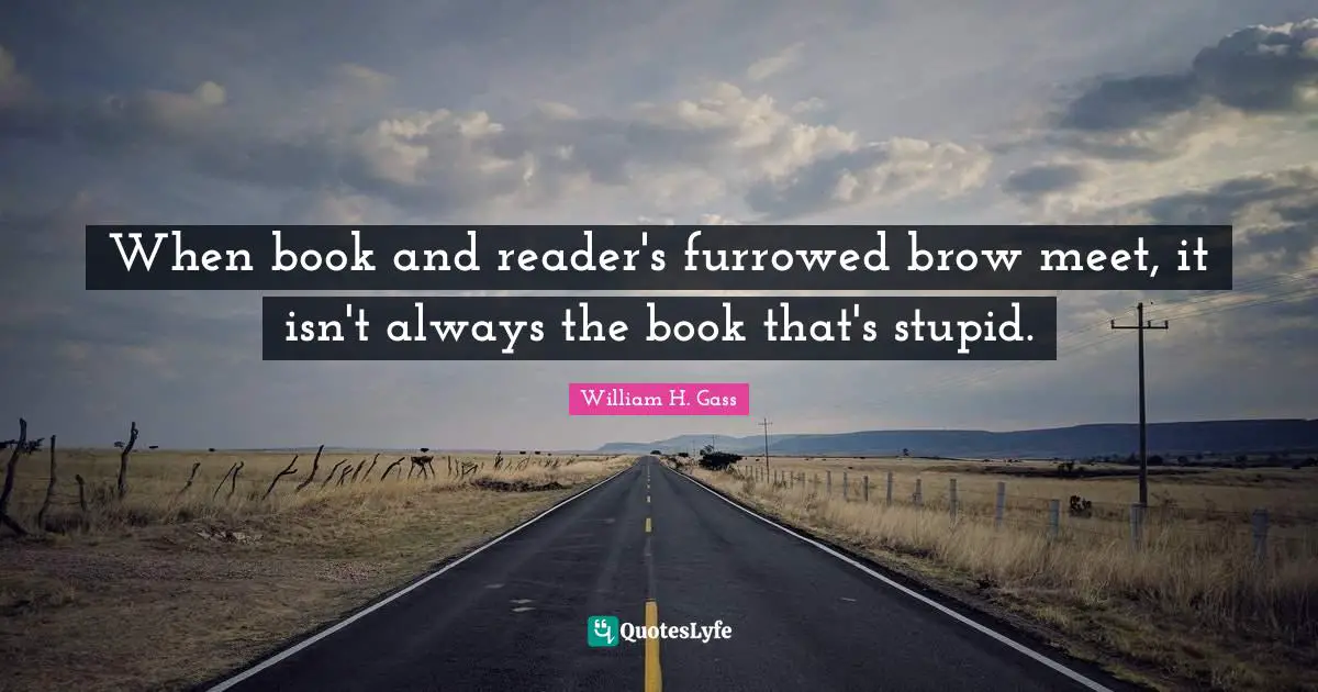 When book and reader's furrowed brow meet, it isn't always the book that's stupid.