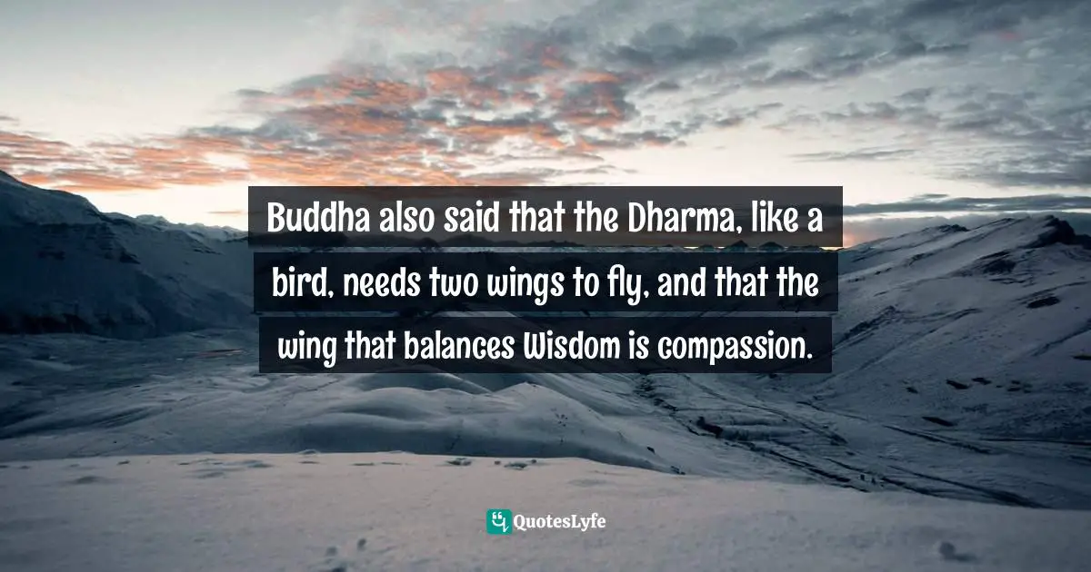 Buddha also said that the Dharma, like a bird, needs two wings to fly, and that the wing that balances Wisdom is compassion.