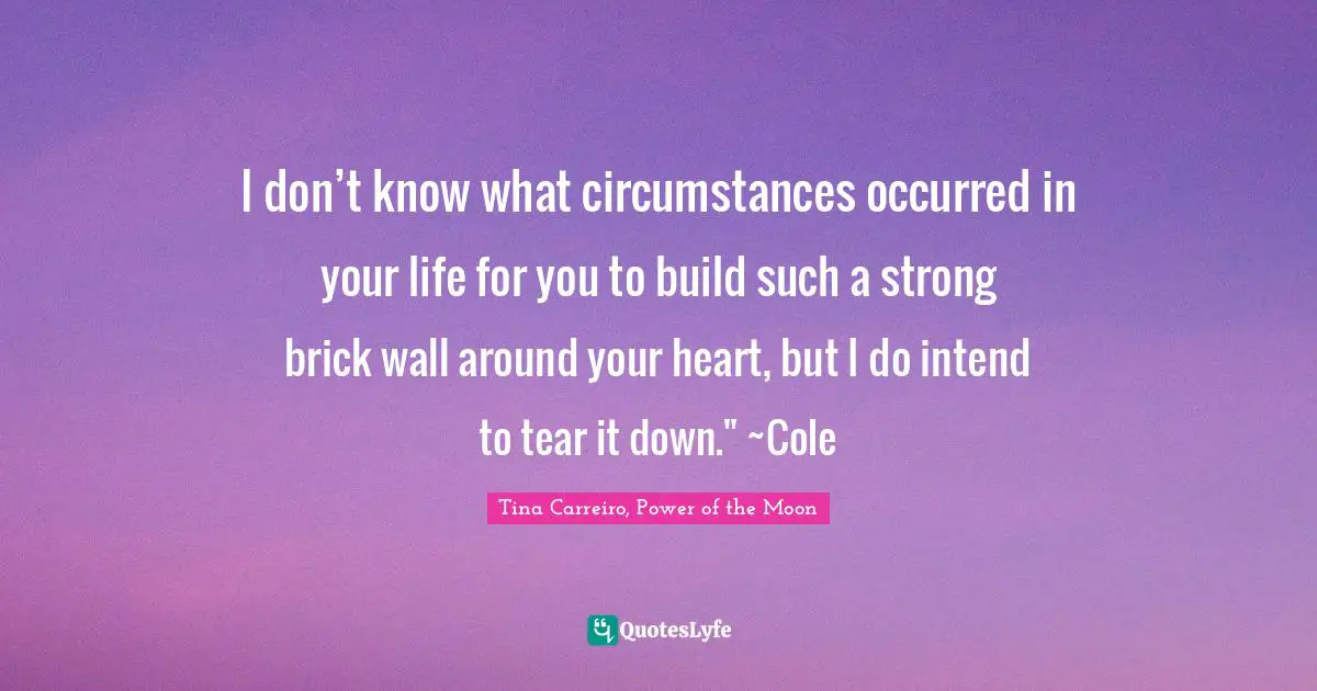 Tina Carreiro, Power Of The Moon Quotes: "I don’t know what circumstances occurred in your life for you to build such a strong brick wall around your heart, but I do intend to tear it down." ~Cole"