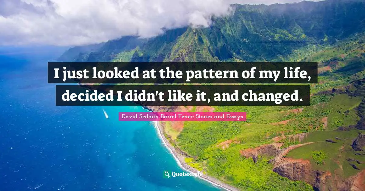 David Sedaris Quotes: "I just looked at the pattern of my life, decided I didn't like it, and changed."