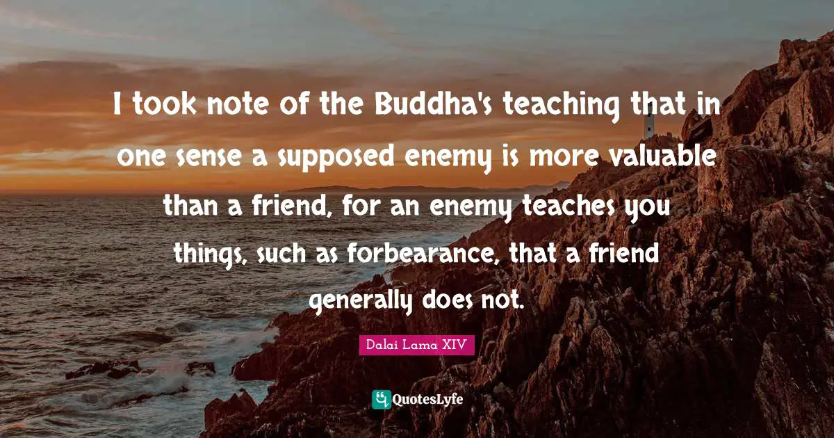 I took note of the Buddha's teaching that in one sense a supposed enemy is more valuable than a friend, for an enemy teaches you things, such as forbearance, that a friend generally does not.