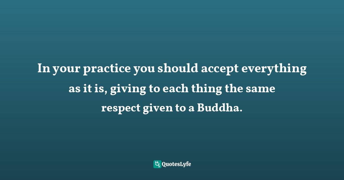 In your practice you should accept everything as it is, giving to each thing the same respect given to a Buddha.