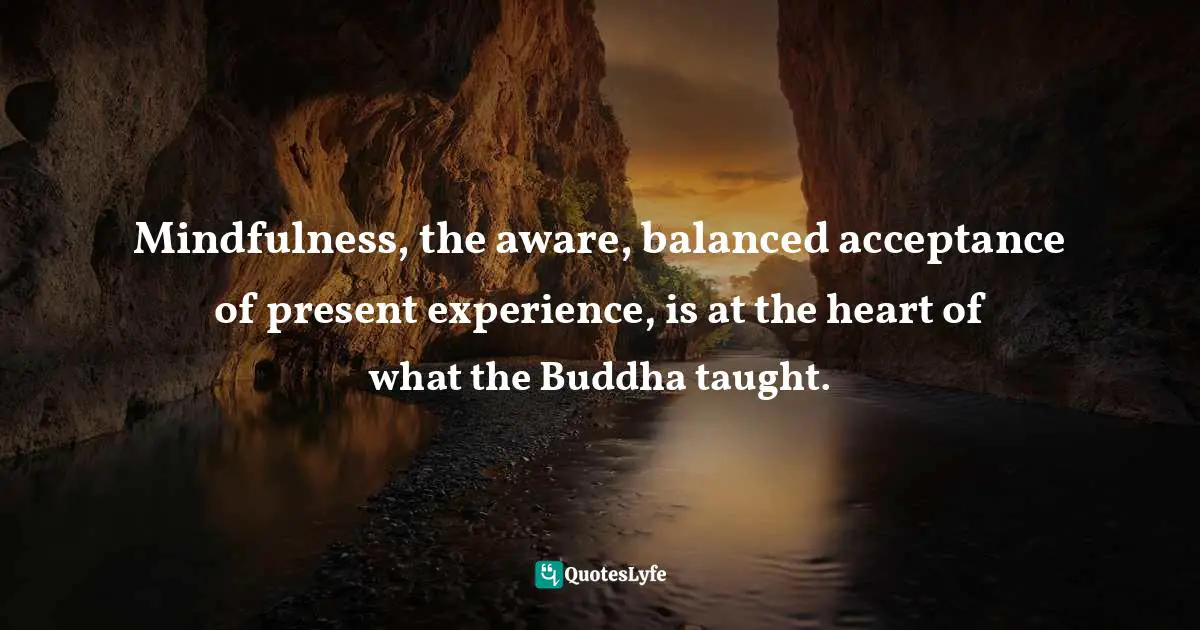 Mindfulness, the aware, balanced acceptance of present experience, is at the heart of what the Buddha taught.