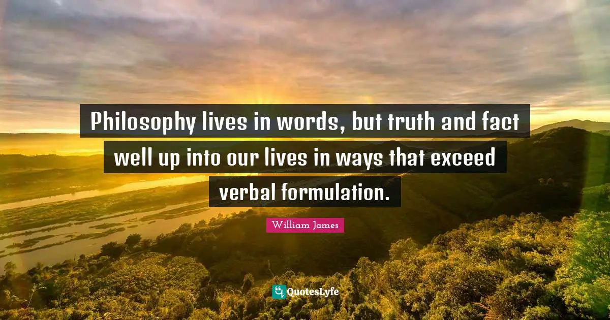 Philosophy lives in words, but truth and fact well up into our lives in ways that exceed verbal formulation.