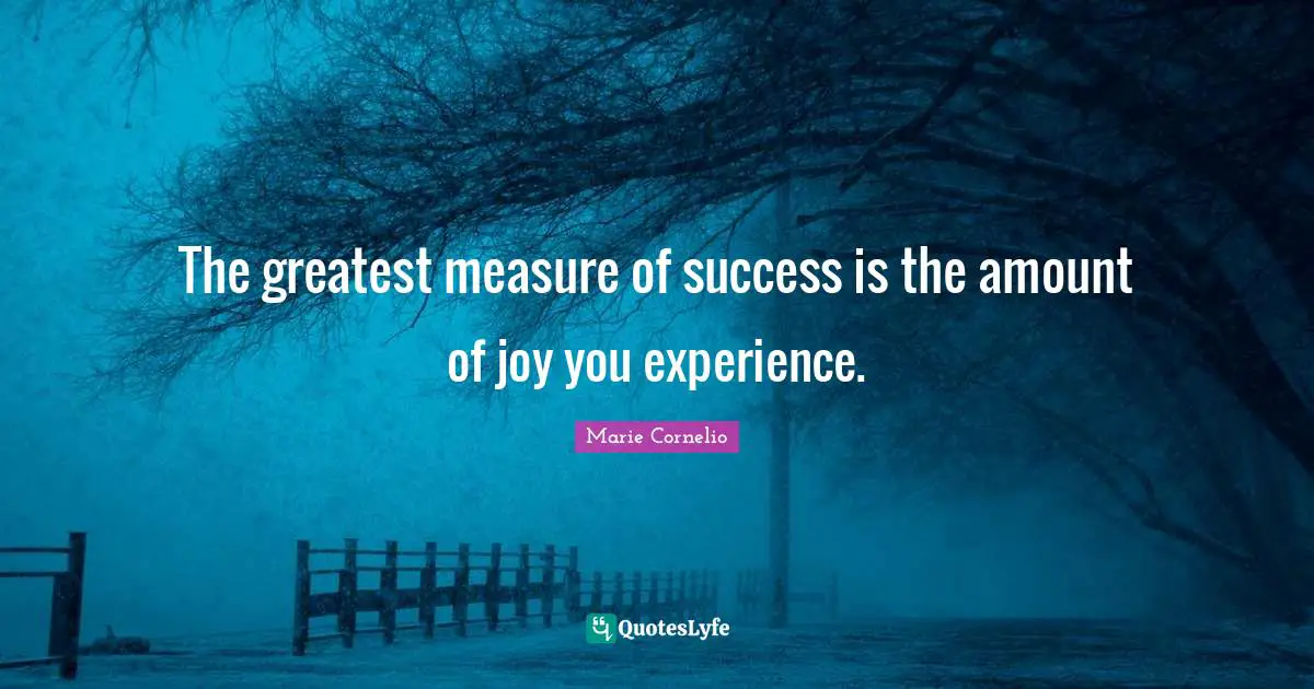 The greatest measure of success is the amount of joy you experience.