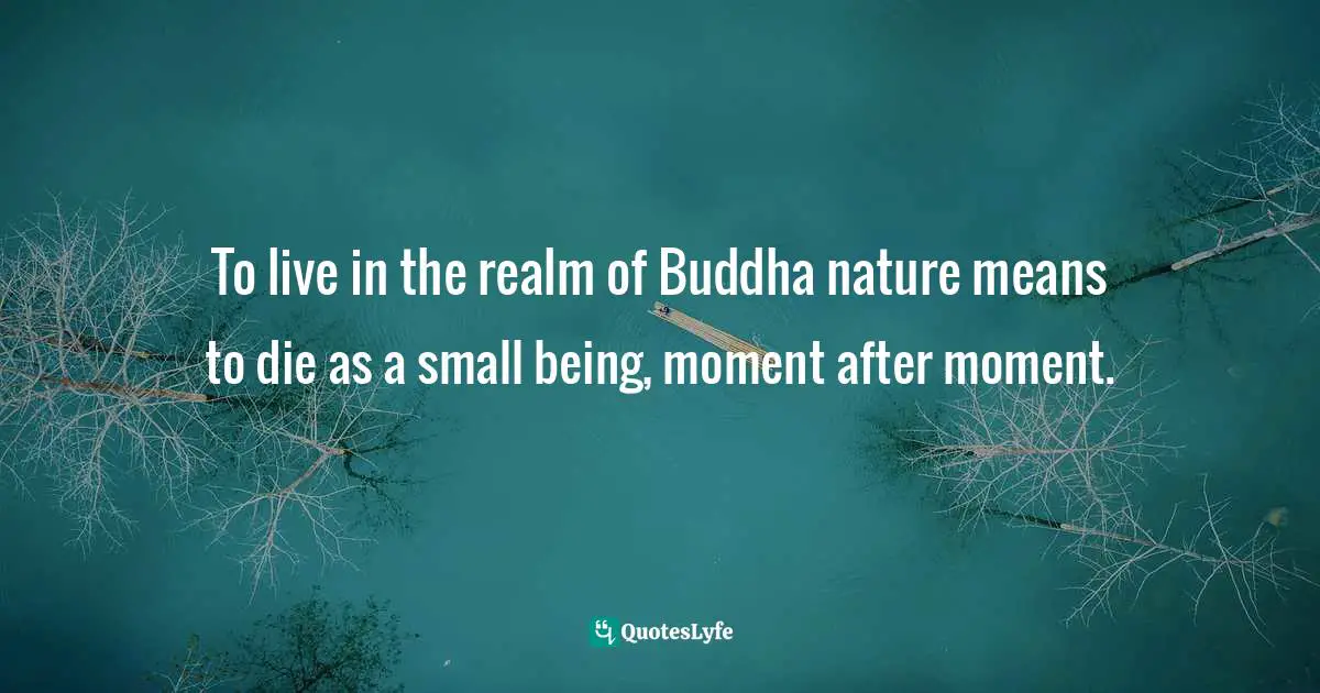 To live in the realm of Buddha nature means to die as a small being, moment after moment.