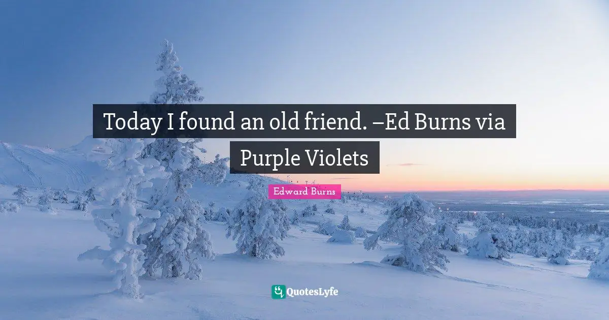 Today I found an old friend. –Ed Burns via Purple Violets