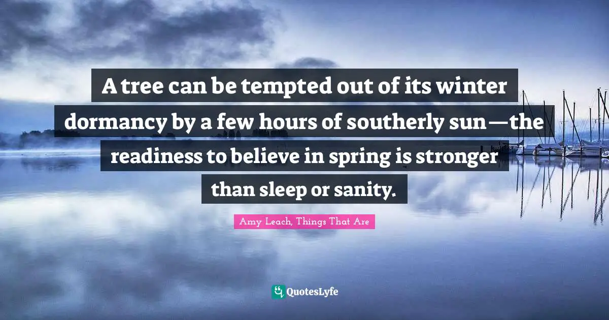 A tree can be tempted out of its winter dormancy by a few hours of southerly sun—the readiness to believe in spring is stronger than sleep or sanity.