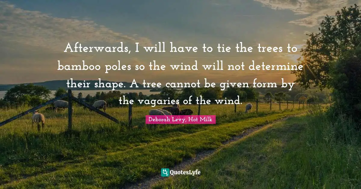 Afterwards, I will have to tie the trees to bamboo poles so the wind will not determine their shape. A tree cannot be given form by the vagaries of the wind.
