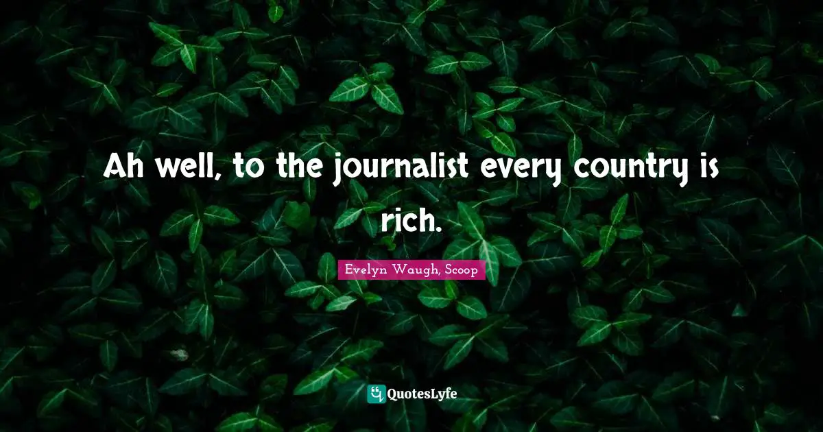 Ah well, to the journalist every country is rich.