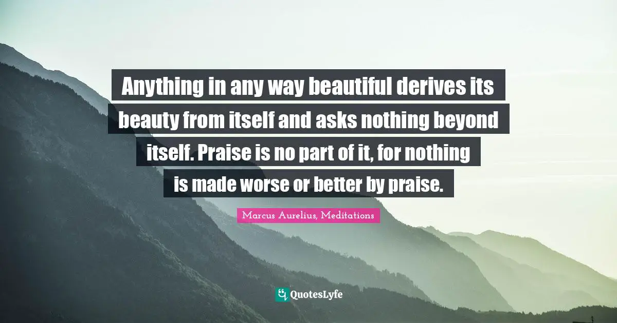 Anything in any way beautiful derives its beauty from itself and asks nothing beyond itself. Praise is no part of it, for nothing is made worse or better by praise.