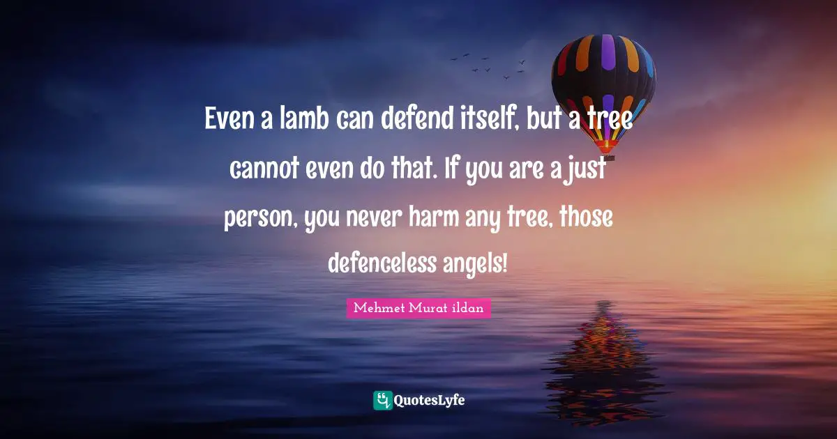 Even a lamb can defend itself, but a tree cannot even do that. If you are a just person, you never harm any tree, those defenceless angels!