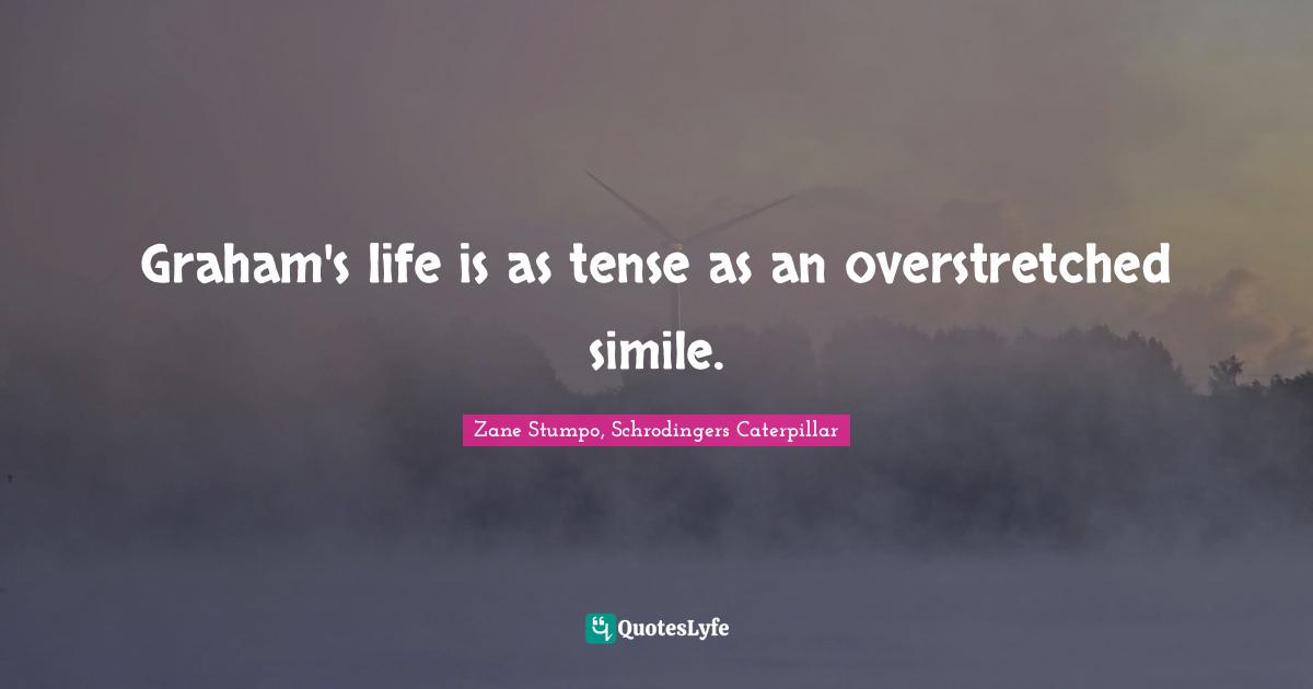 Graham's life is as tense as an overstretched simile.