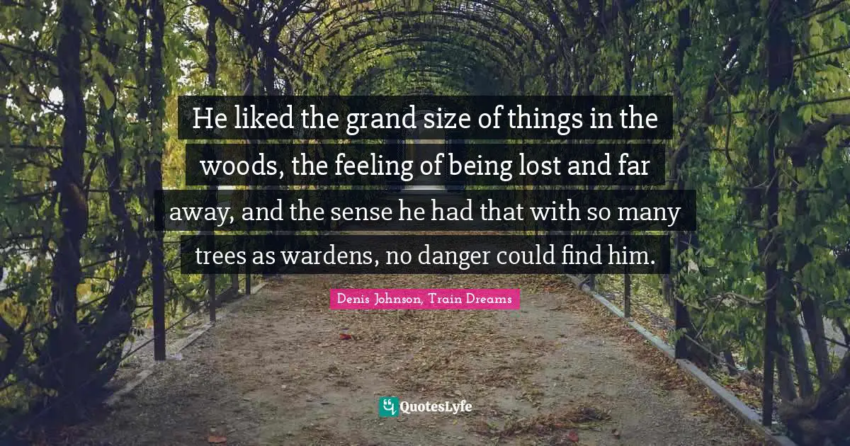 He liked the grand size of things in the woods, the feeling of being lost and far away, and the sense he had that with so many trees as wardens, no danger could find him.