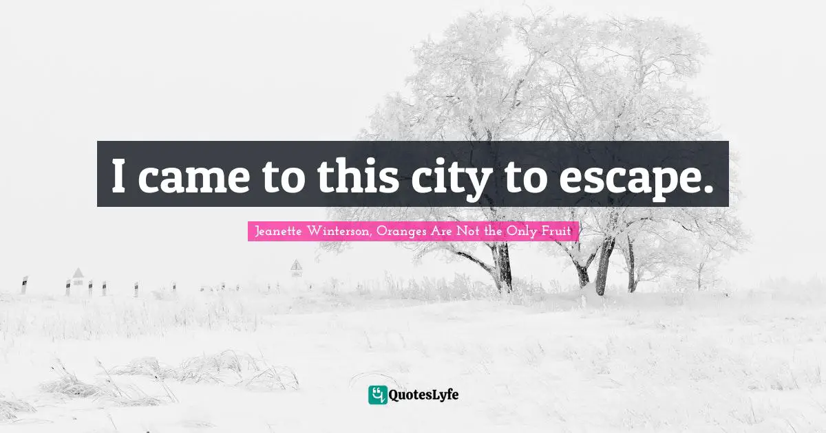 I came to this city to escape.