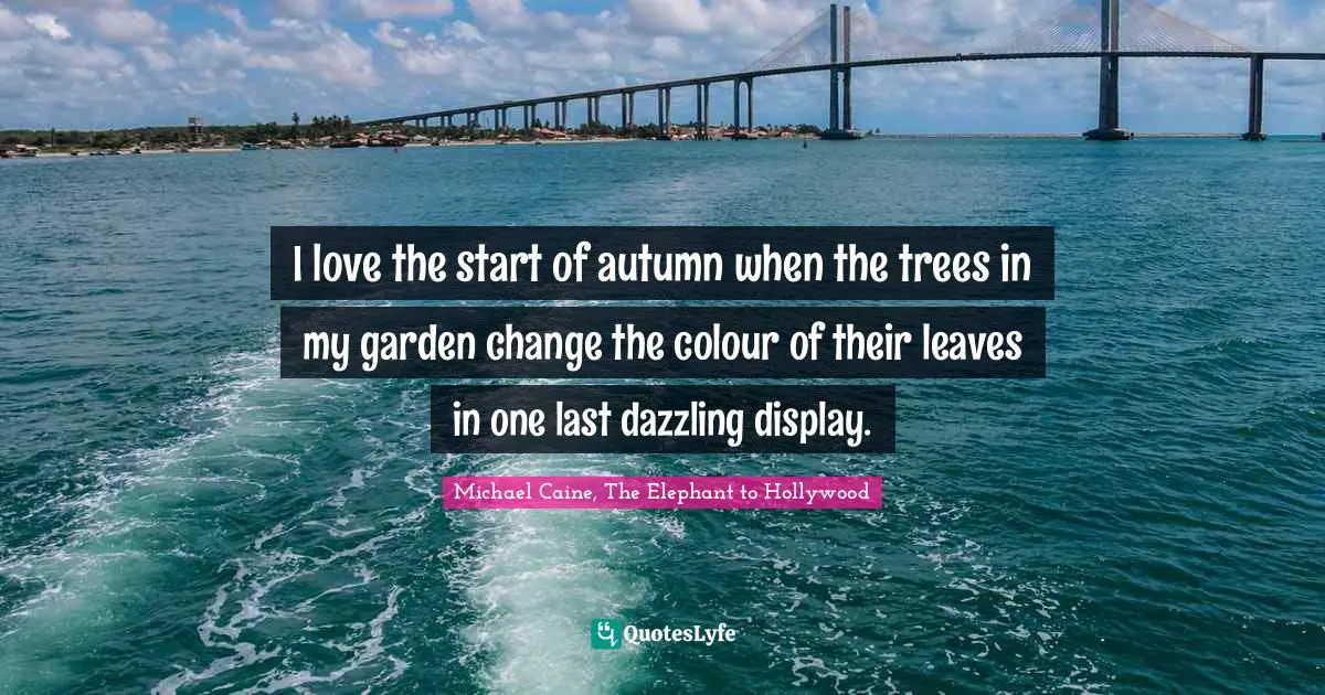 I love the start of autumn when the trees in my garden change the colour of their leaves in one last dazzling display.