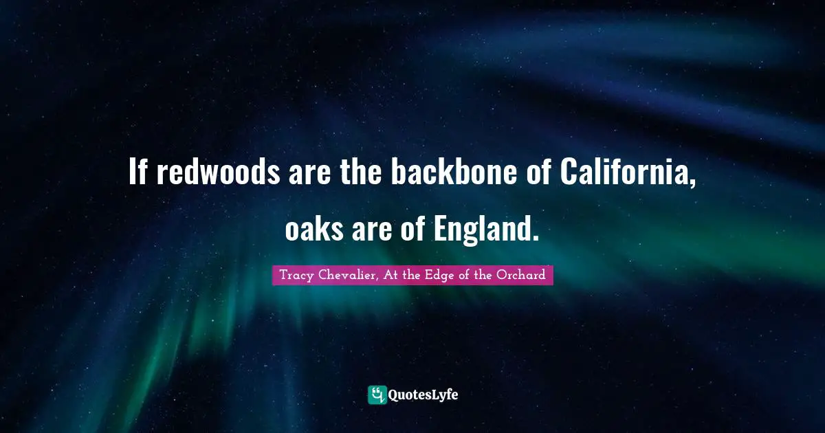 If redwoods are the backbone of California, oaks are of England.