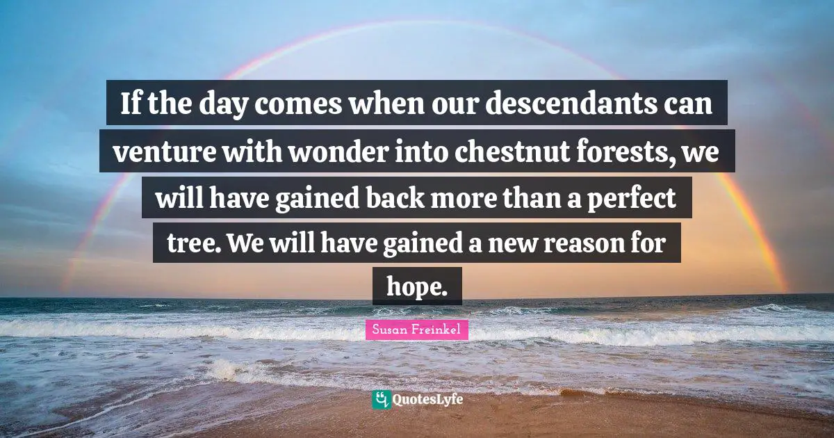 If the day comes when our descendants can venture with wonder into chestnut forests, we will have gained back more than a perfect tree. We will have gained a new reason for hope.