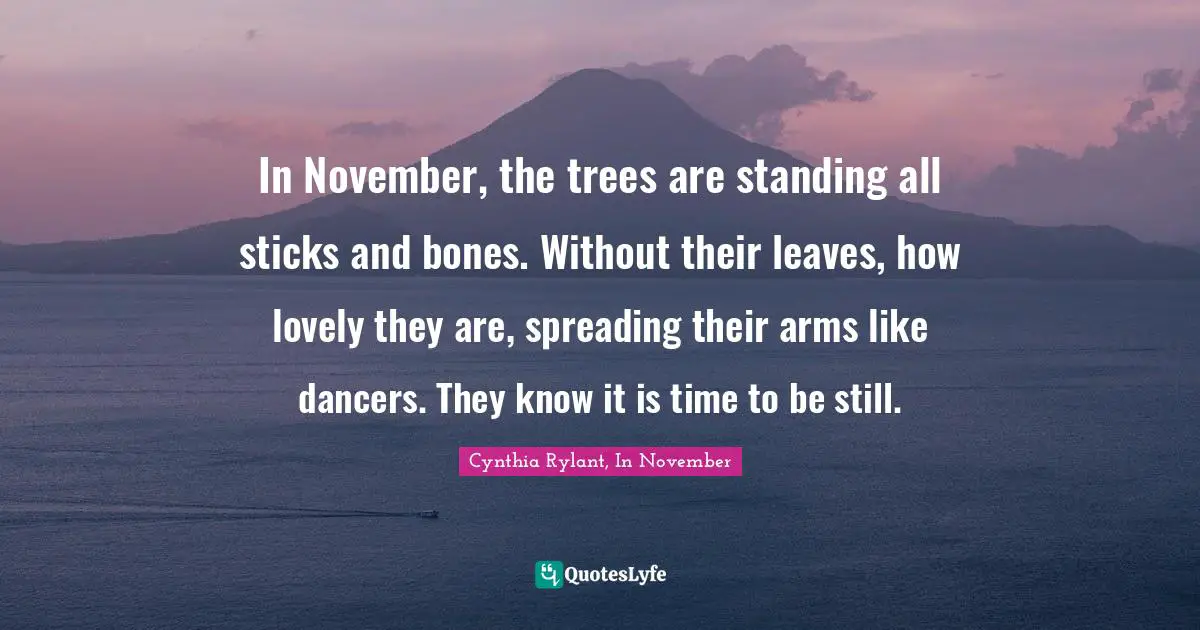 November Quotes: "In November, the trees are standing all sticks and bones. Without their leaves, how lovely they are, spreading their arms like dancers. They know it is time to be still."