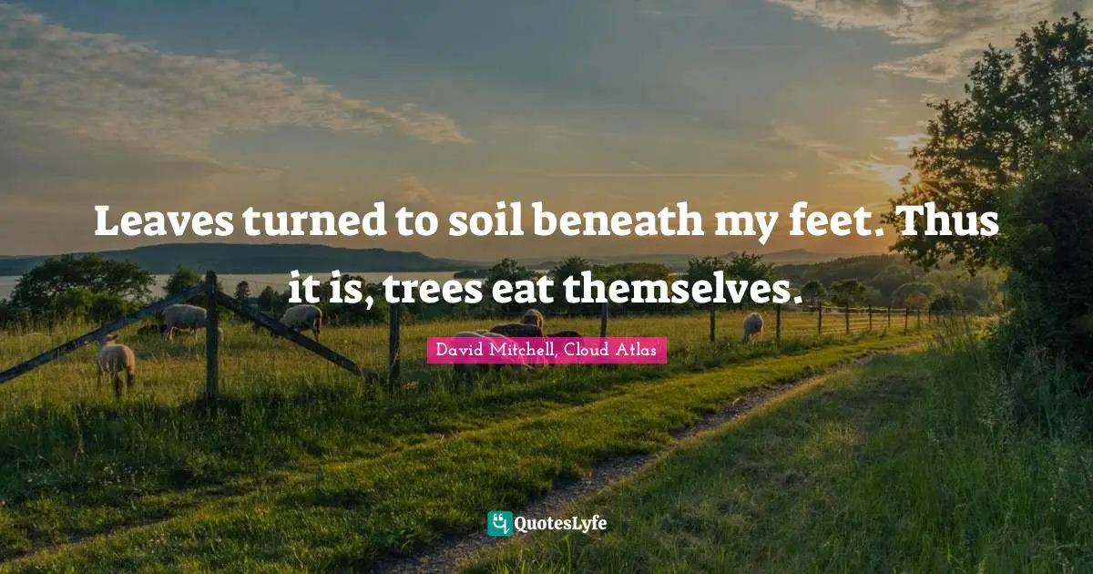 Leaves turned to soil beneath my feet. Thus it is, trees eat themselves.