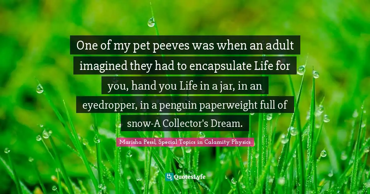 One of my pet peeves was when an adult imagined they had to encapsulate Life for you, hand you Life in a jar, in an eyedropper, in a penguin paperweight full of snow-A Collector's Dream.