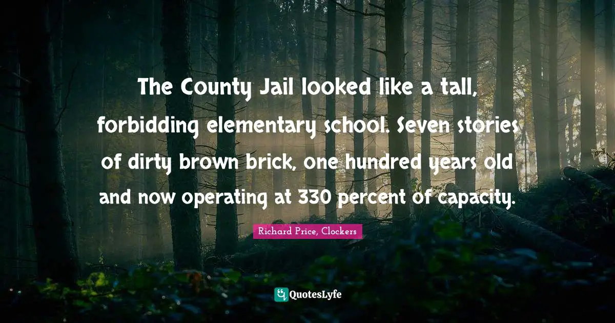The County Jail looked like a tall, forbidding elementary school. Seven stories of dirty brown brick, one hundred years old and now operating at 330 percent of capacity.