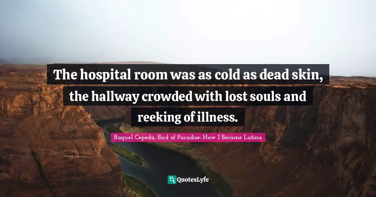The hospital room was as cold as dead skin, the hallway crowded with lost souls and reeking of illness.