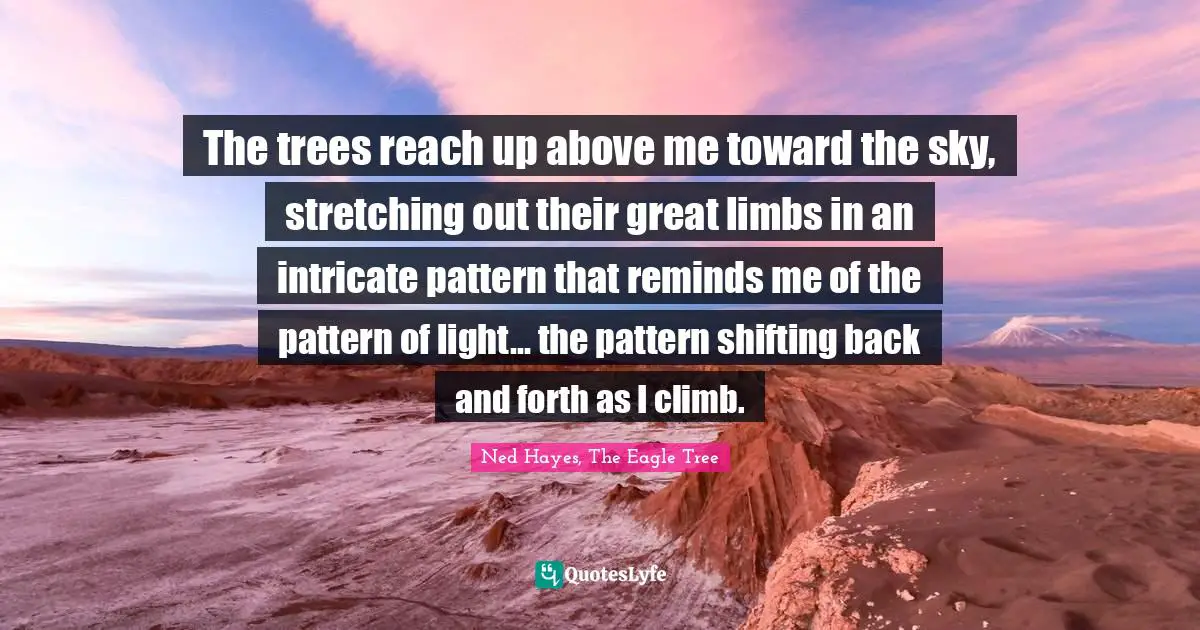 The trees reach up above me toward the sky, stretching out their great limbs in an intricate pattern that reminds me of the pattern of light... the pattern shifting back and forth as I climb.