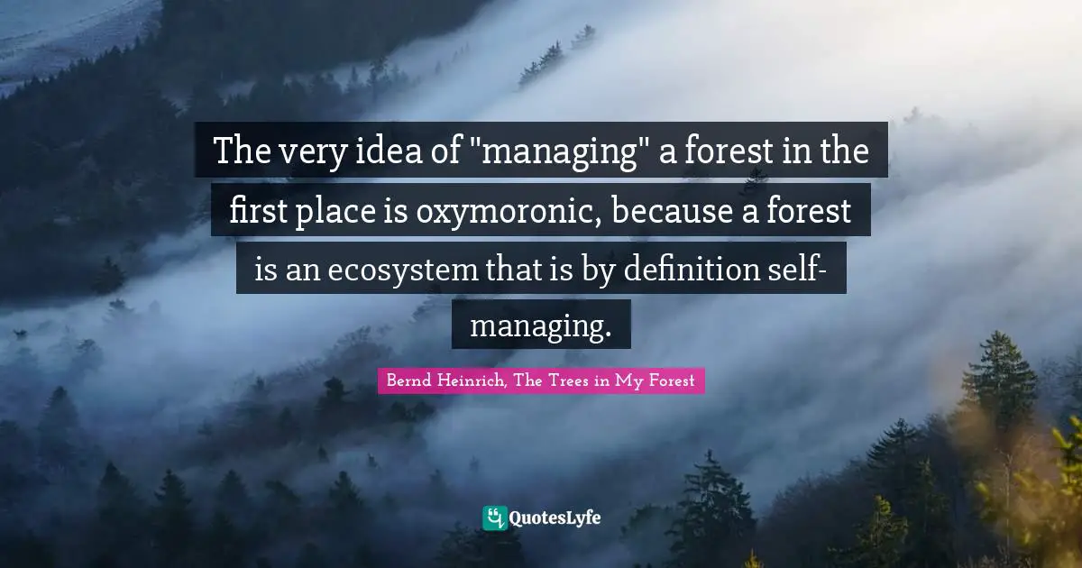 The very idea of "managing" a forest in the first place is oxymoronic, because a forest is an ecosystem that is by definition self-managing.